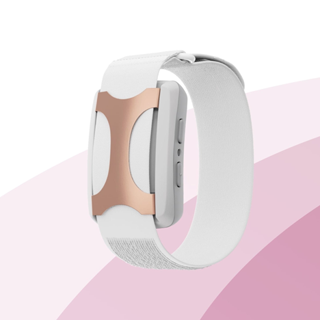 Apollo Wearable Rose