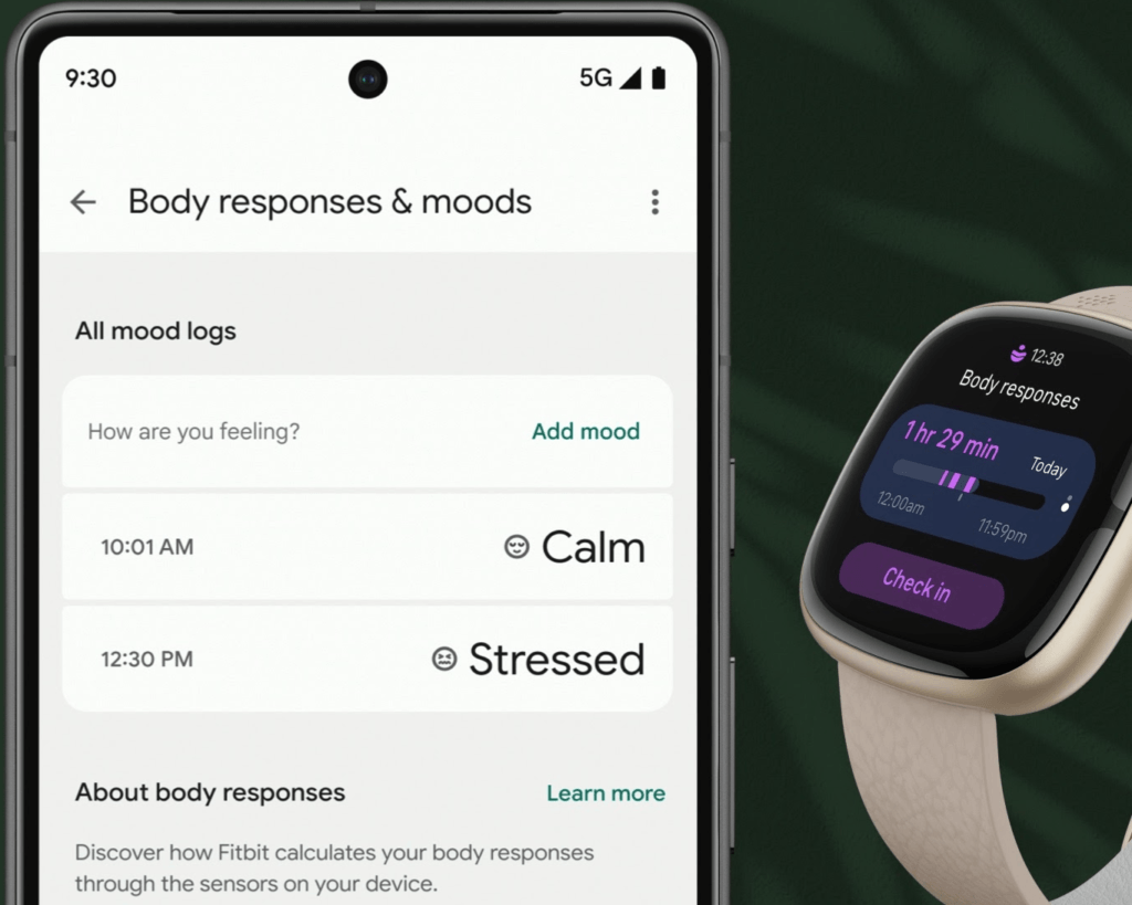 Fitbit Sense 2 App that helps you understand stress with all-body response tracking